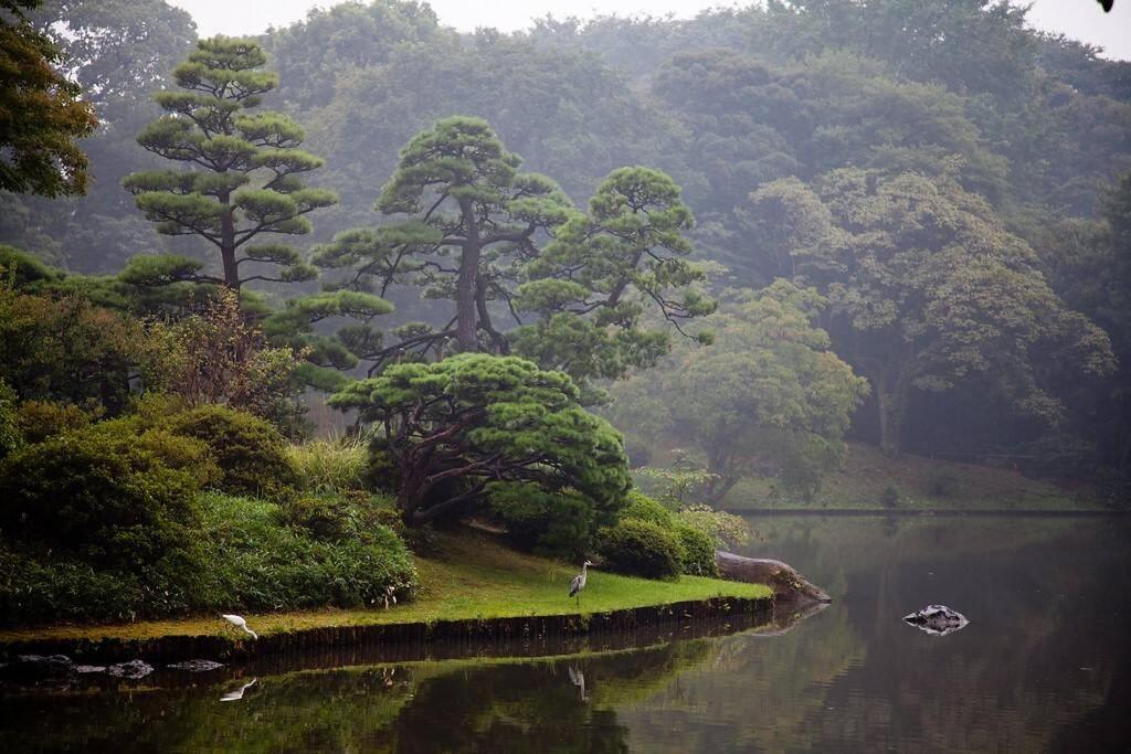 Tora Hotel Tokyo-Rikugienn 寅ホテル 六義園 A Exteriör bild